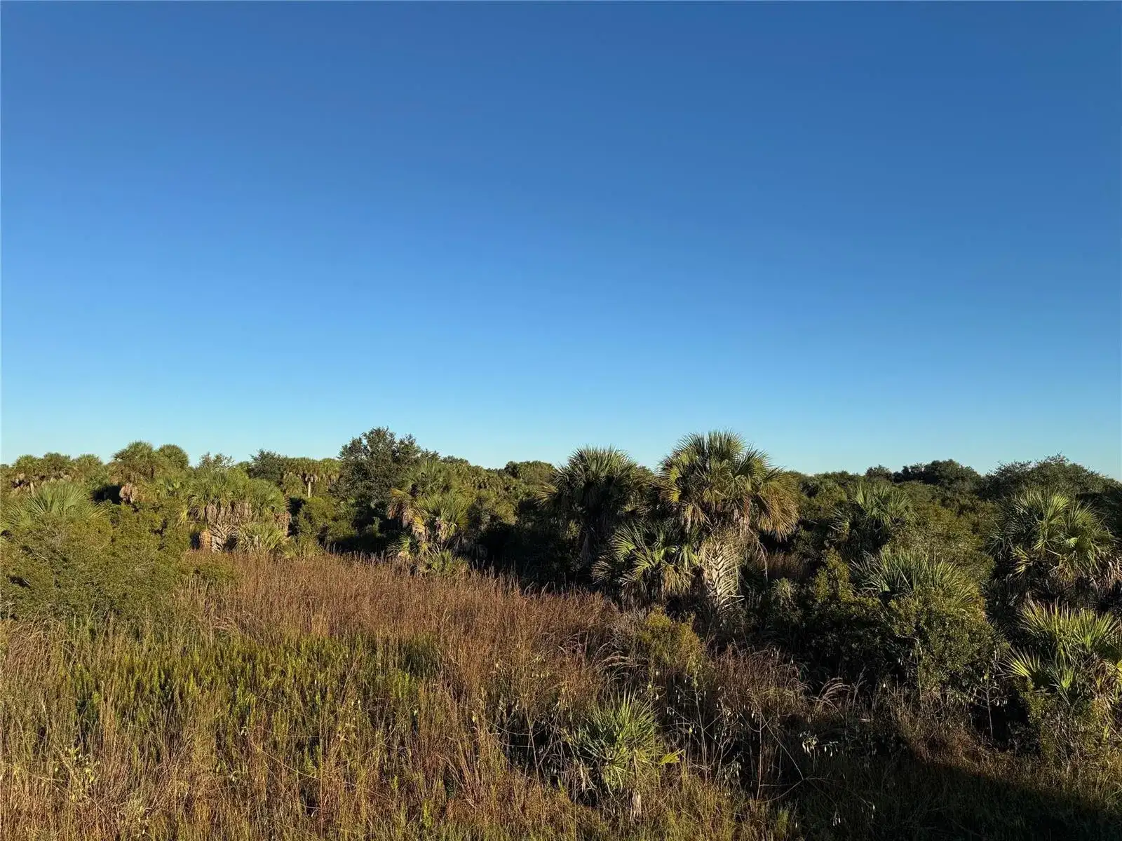 2025 Cabbage Lane, Okeechobee FL 34974 photo 3