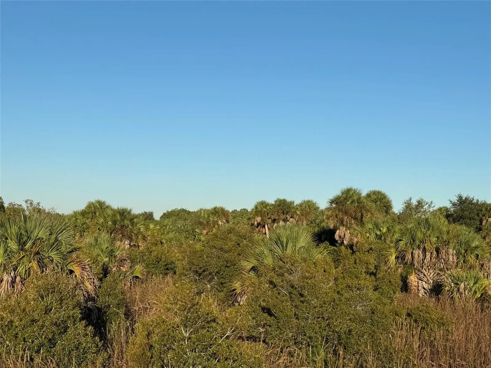 2025 Cabbage Lane, Okeechobee FL 34974 photo 4
