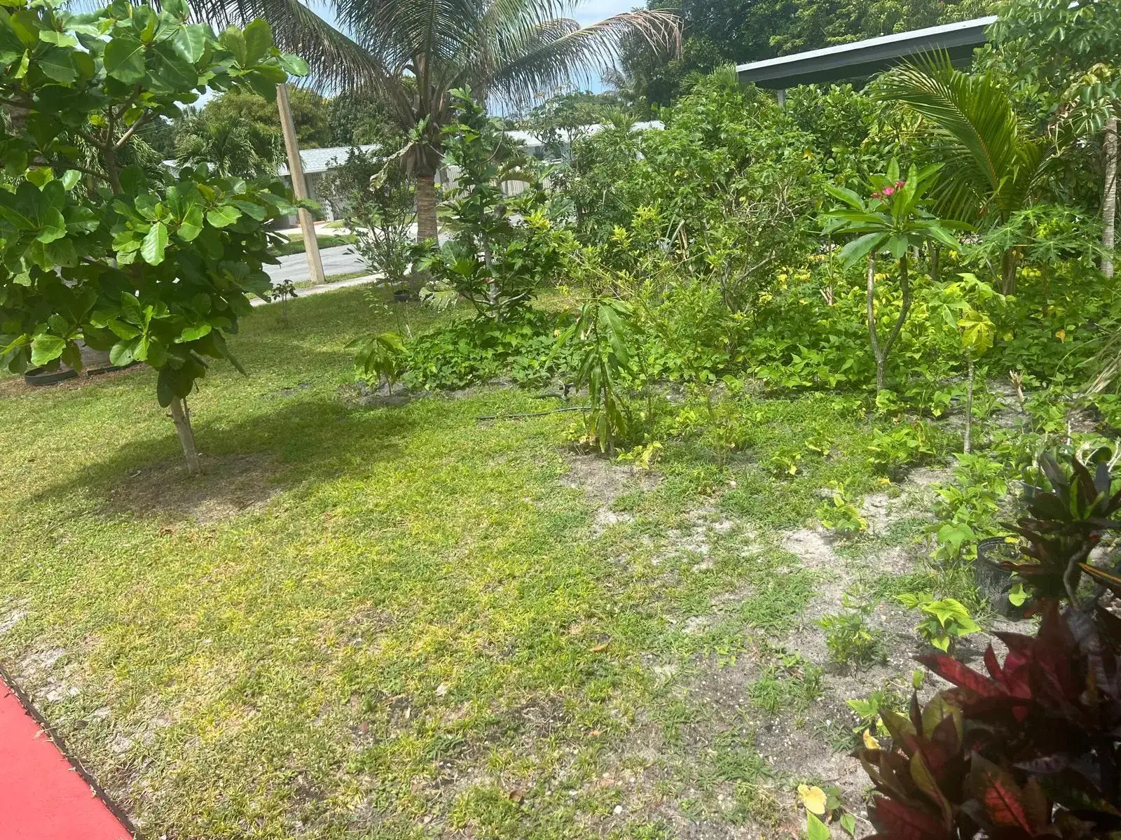 1026 Hansen Street, West Palm Beach FL 33405 photo 5