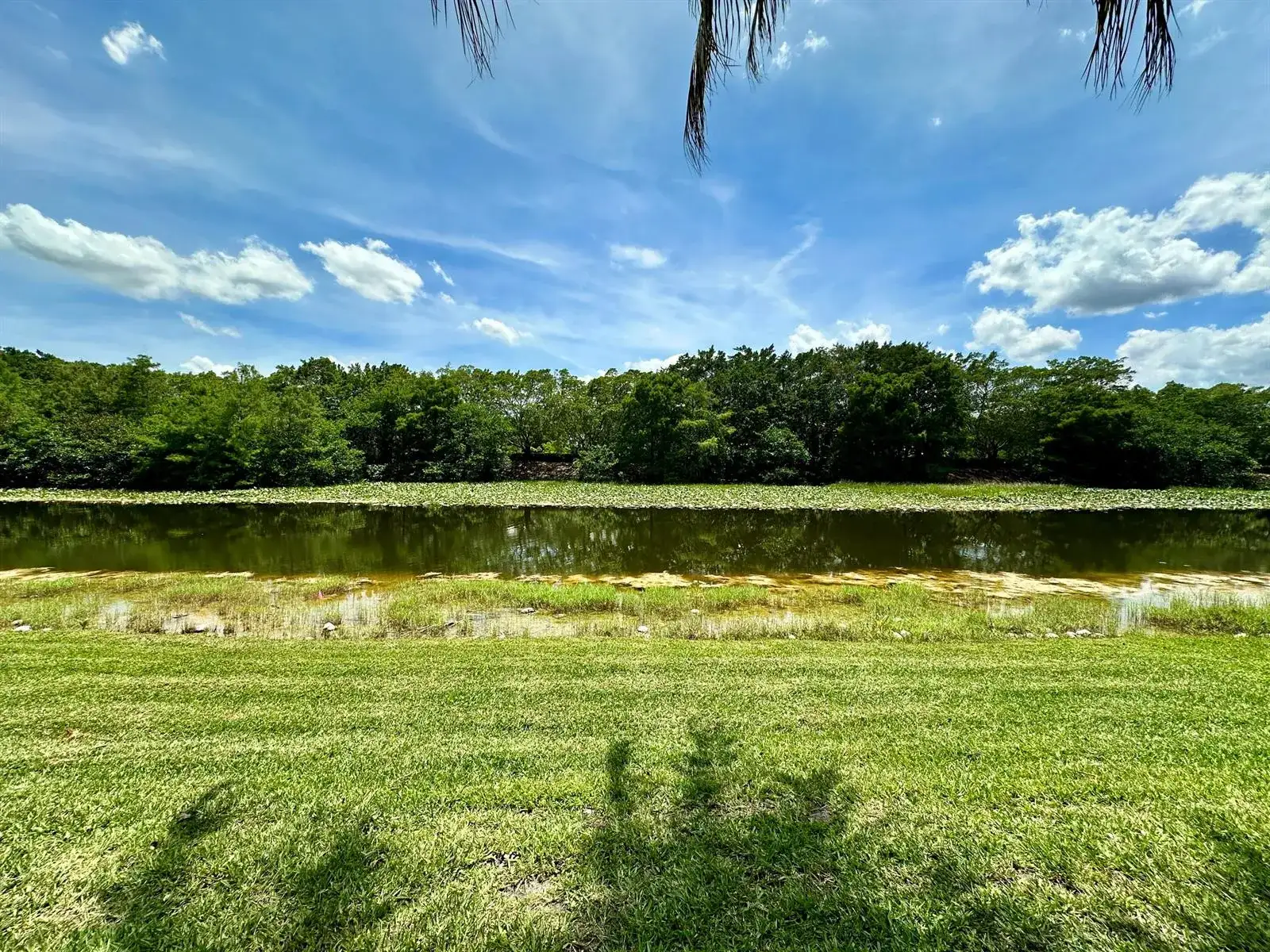386 Carrington Drive, Weston FL 33326 photo 4