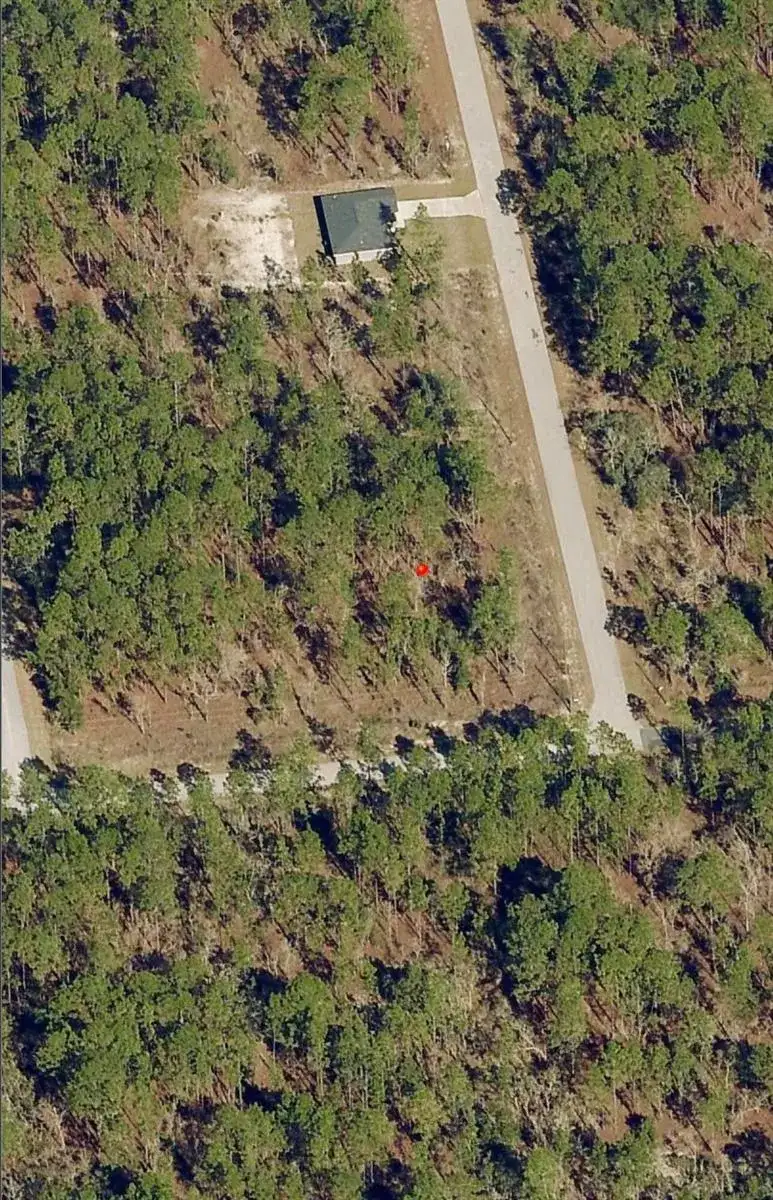 Tbd SW Buena Vista Road, FL 34431 photo 3