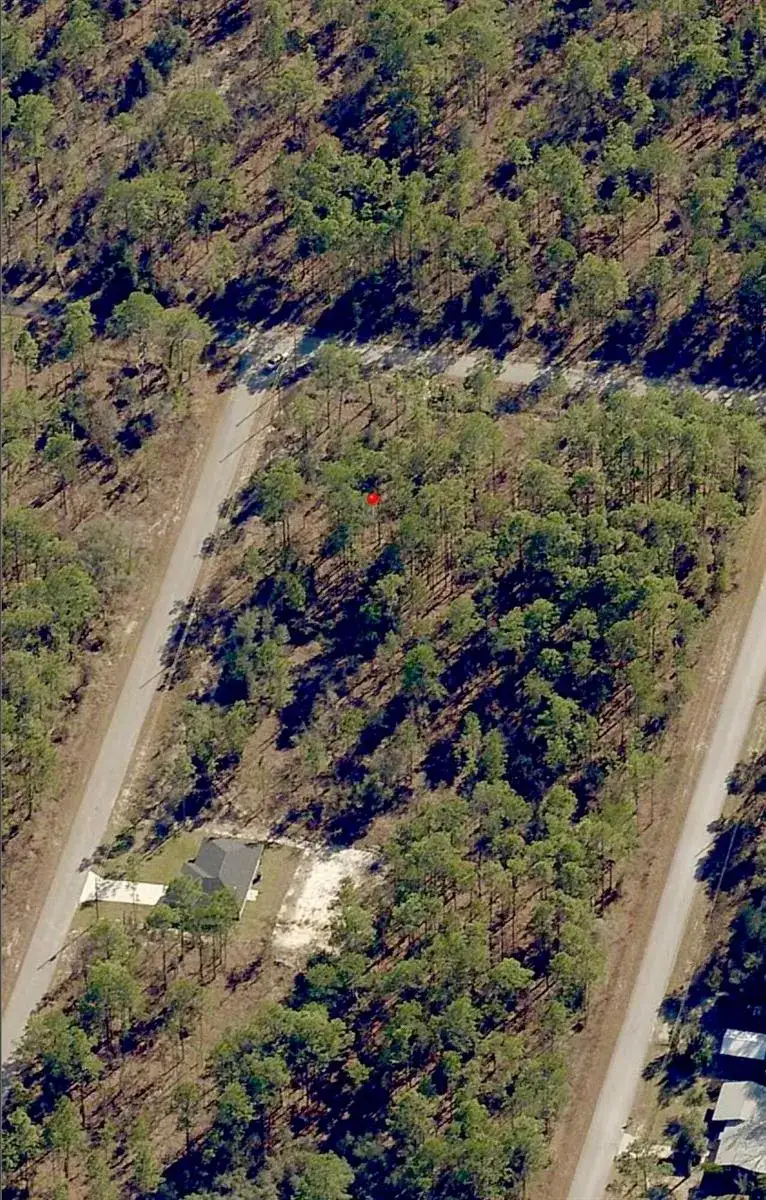 Tbd SW Buena Vista Road, FL 34431 photo 4