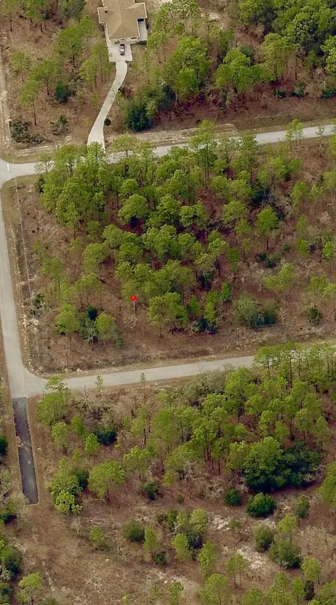 Tbd SW Buena Vista Road, FL 34431 photo 5