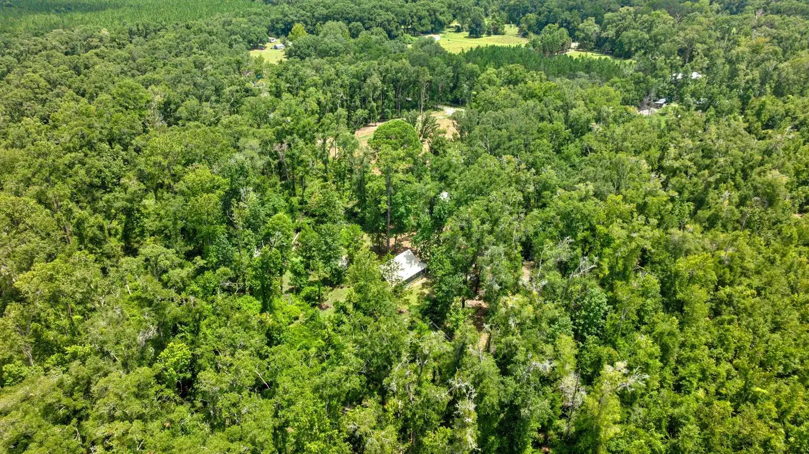 694 SW Quarter Lane, FL 32038 photo 3