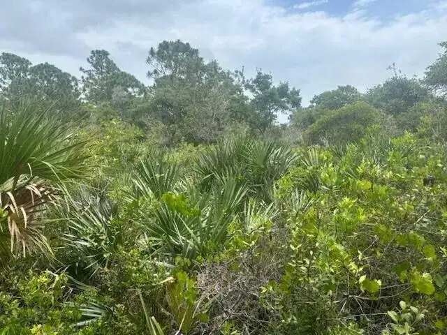 0 Turnpike Feeder Road, Fort Pierce FL 34945 photo 3