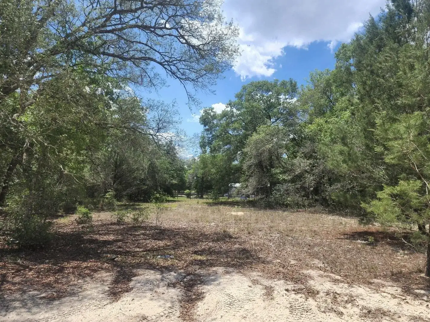 3199 Lich Street, Port Charlotte FL 33980 photo 4