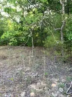 0 Gardenia Drive, FL 32448 photo 3
