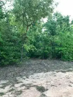 0 Gardenia Drive, FL 32448 photo 5