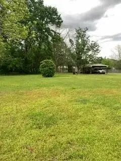 1026 Washington Avenue, FL 32440 photo 3