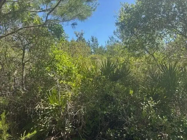 0 Golden Shores Blvd, Mims FL 32754 photo 3