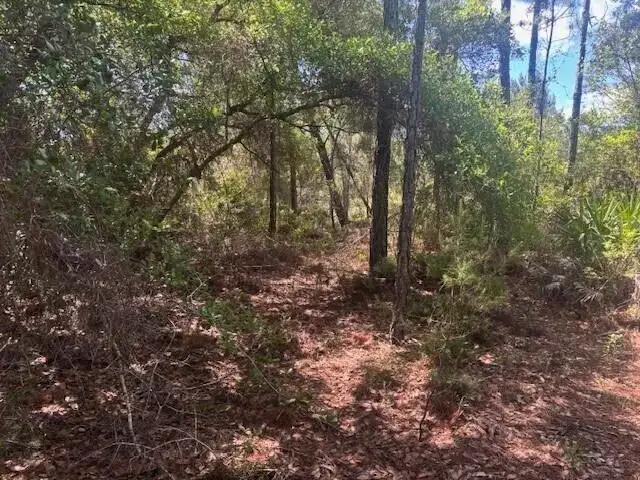 0 Golden Shores Blvd, Mims FL 32754 photo 5