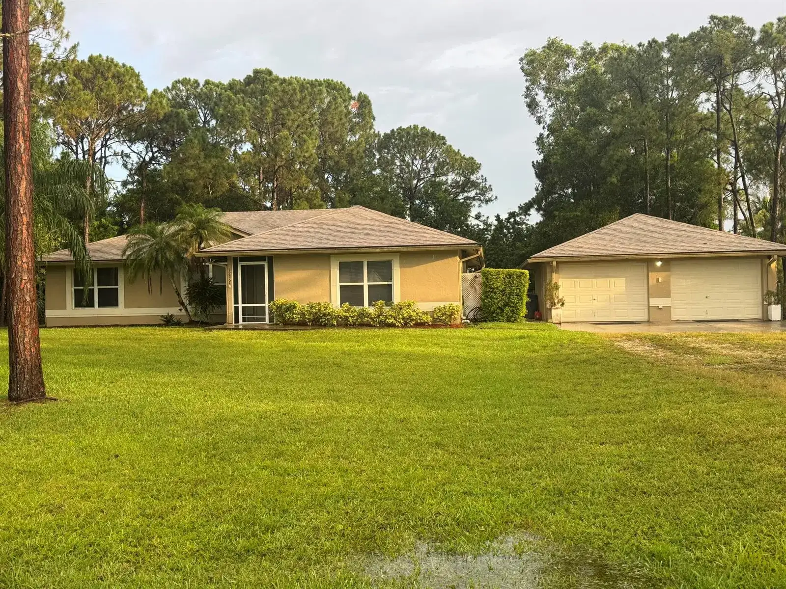 12564 N 68th Street, West Palm Beach FL 33412 photo 3