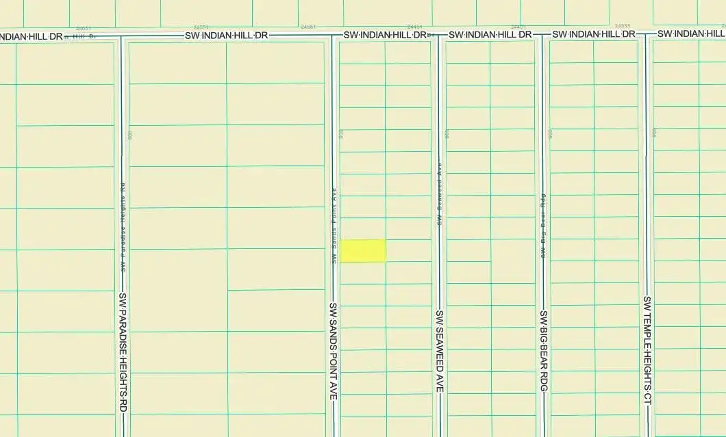 Tbd Sw Sands Point Ave, FL 34431 photo 3