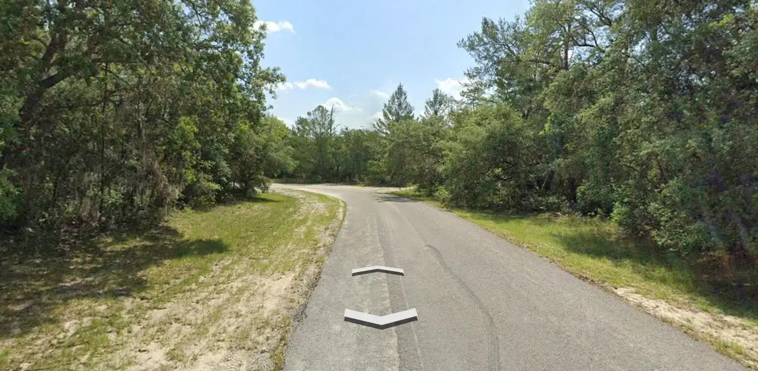 Tbd SW 72nd Circle, FL 34432 photo 3