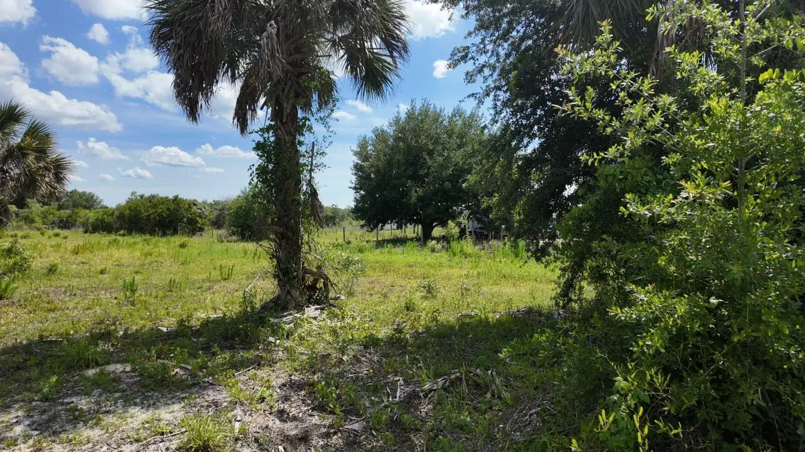 18980 NW 274th Street, Okeechobee FL 34972 photo 2
