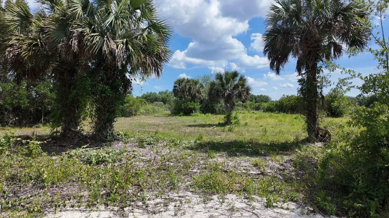 18980 NW 274th Street, Okeechobee FL 34972 photo 3