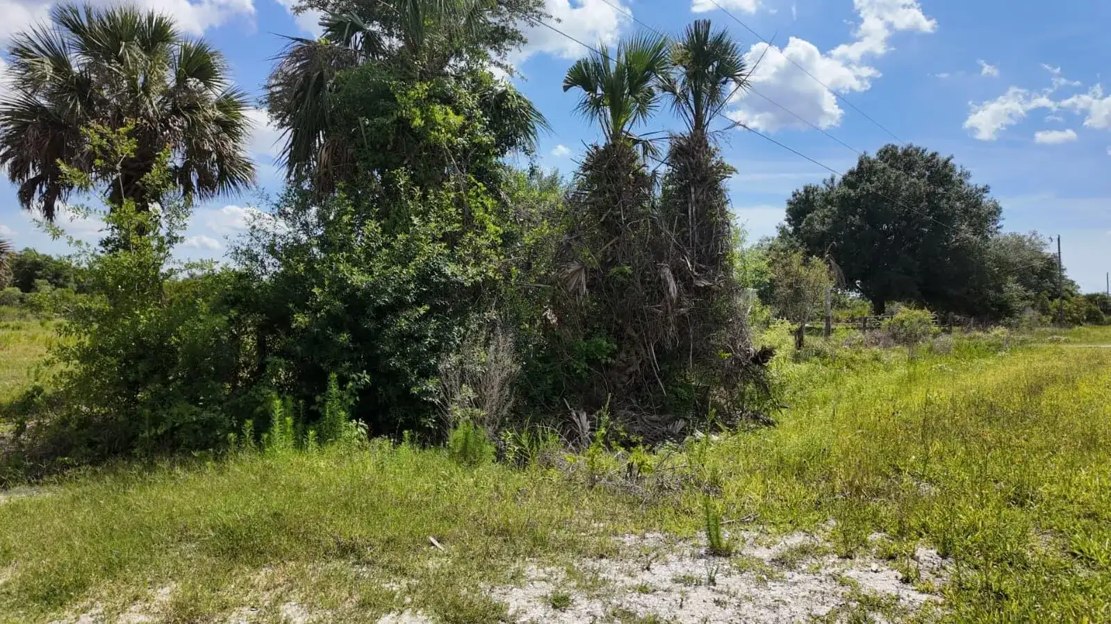 18980 NW 274th Street, Okeechobee FL 34972 photo 4
