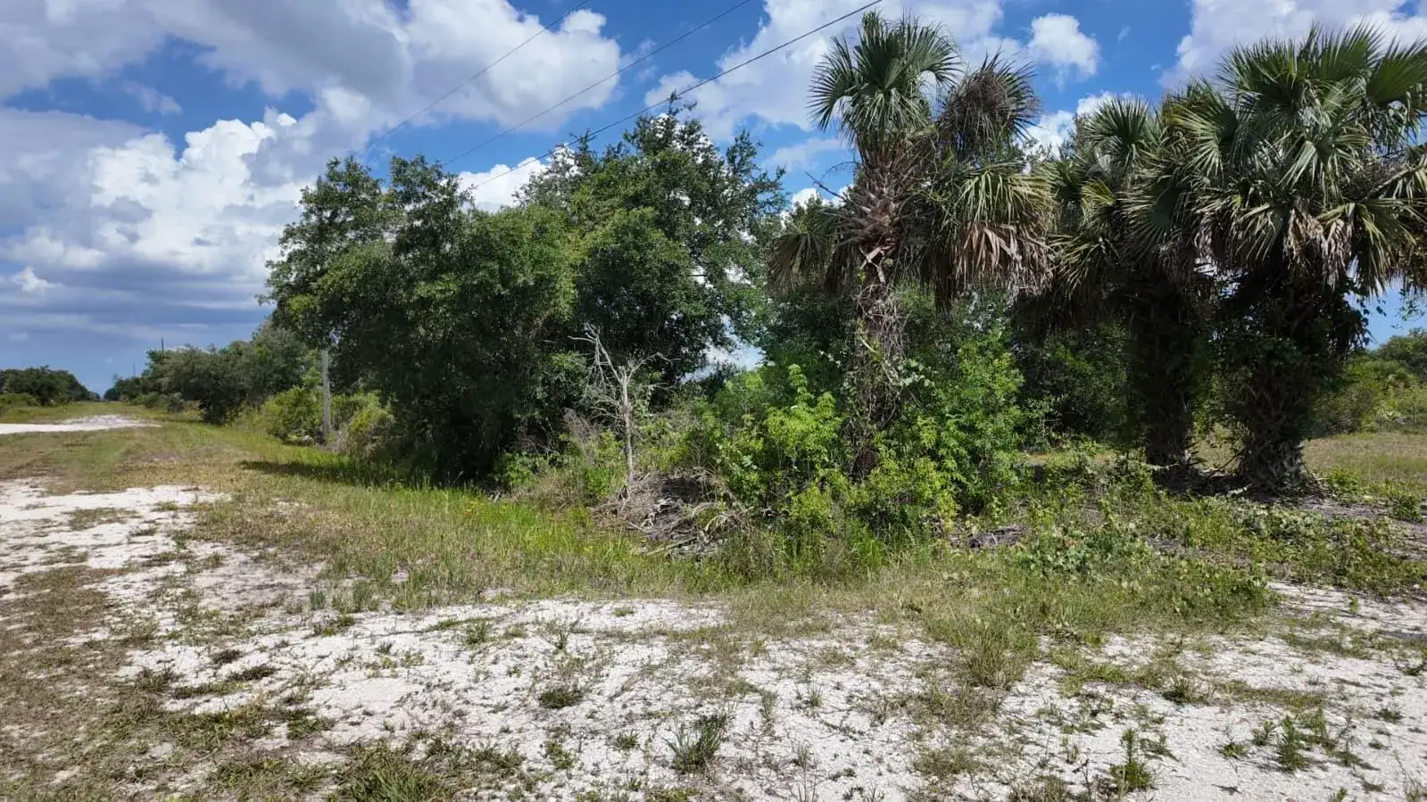 18980 NW 274th Street, Okeechobee FL 34972 photo 5