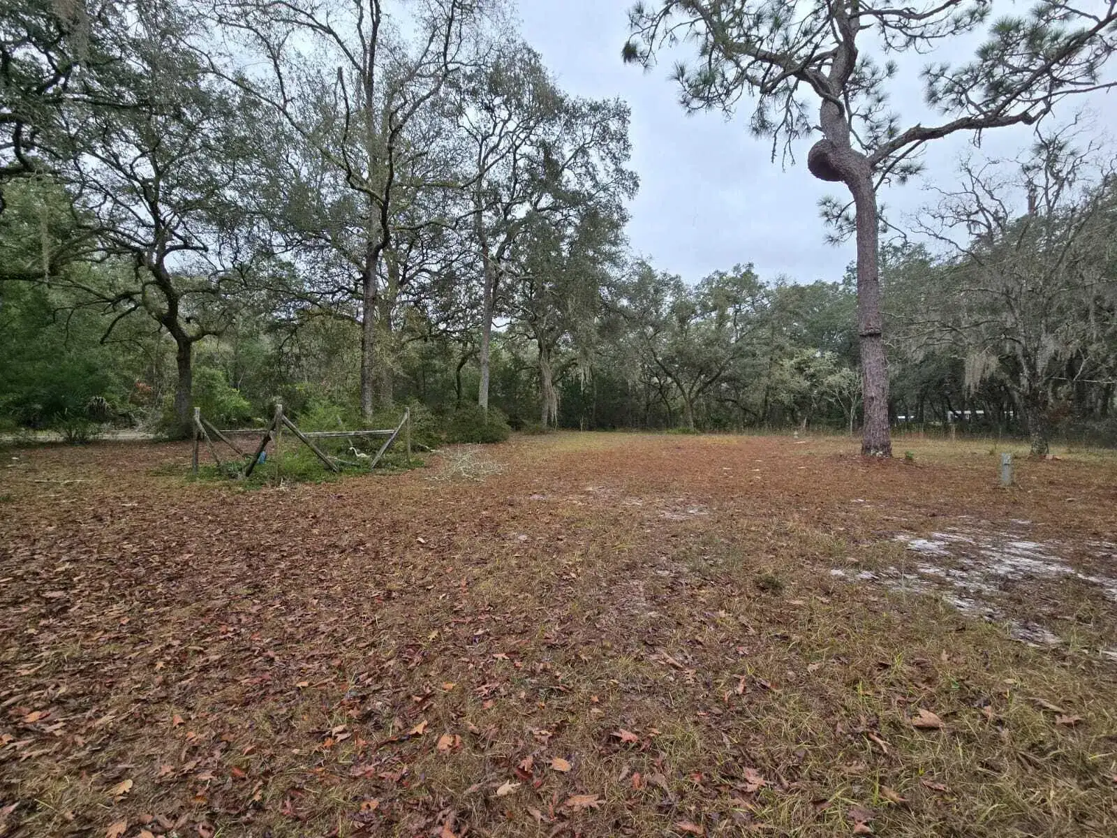 12890 NW 90th Avenue, FL 32626 photo 4