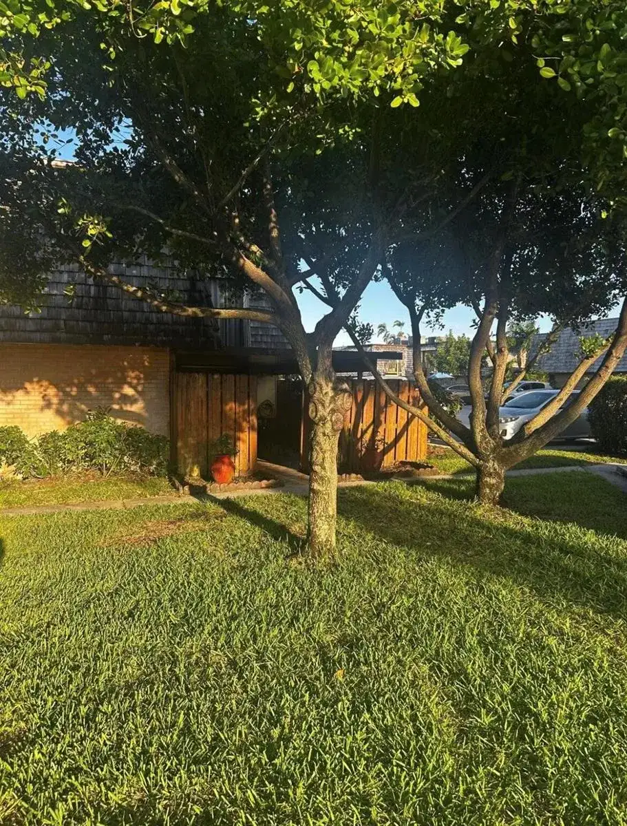 341 Lake Arbor Drive, Palm Springs FL 33461 photo 2