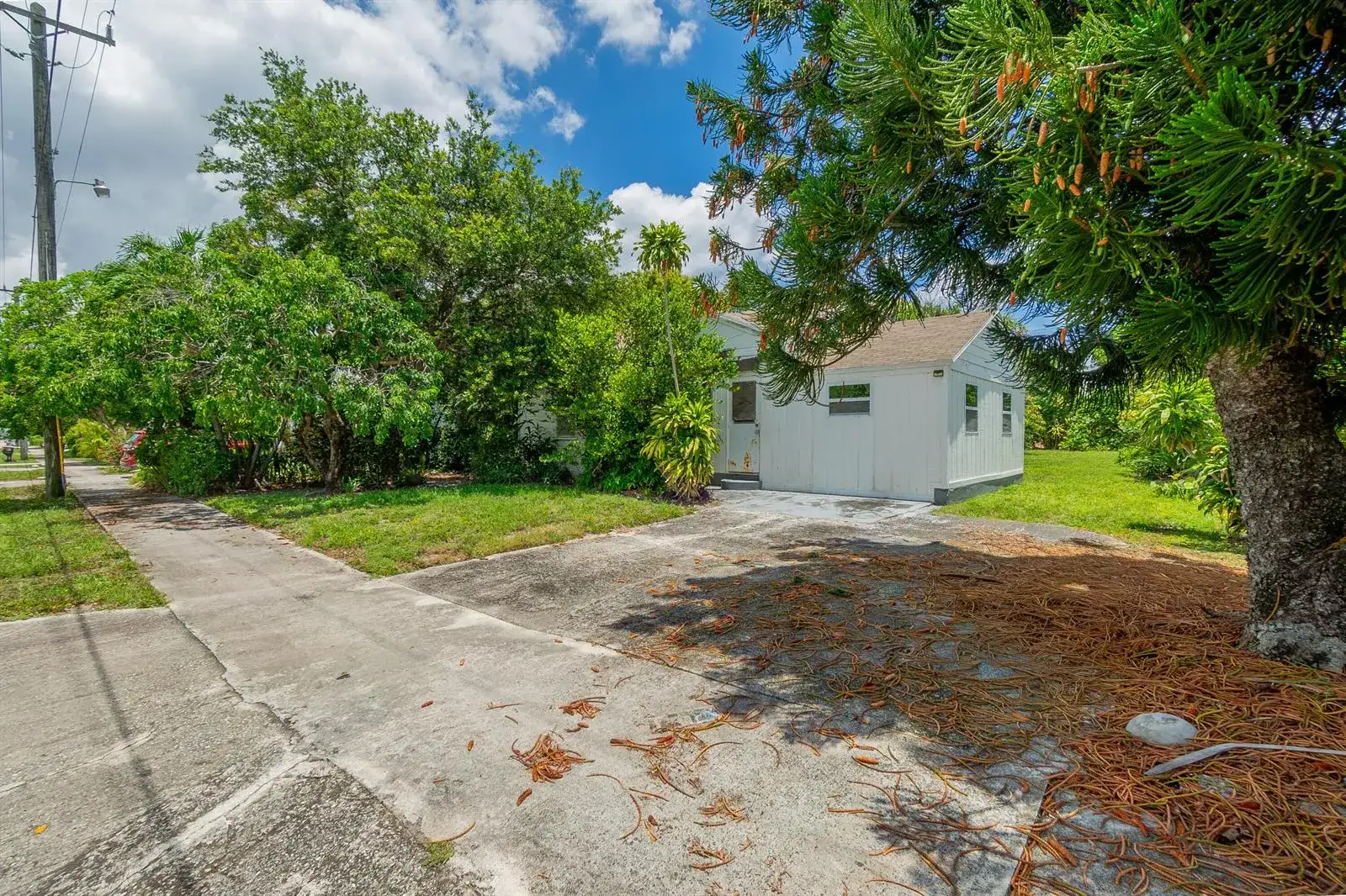 229 SW 4th Avenue, Delray Beach FL 33444 photo 5