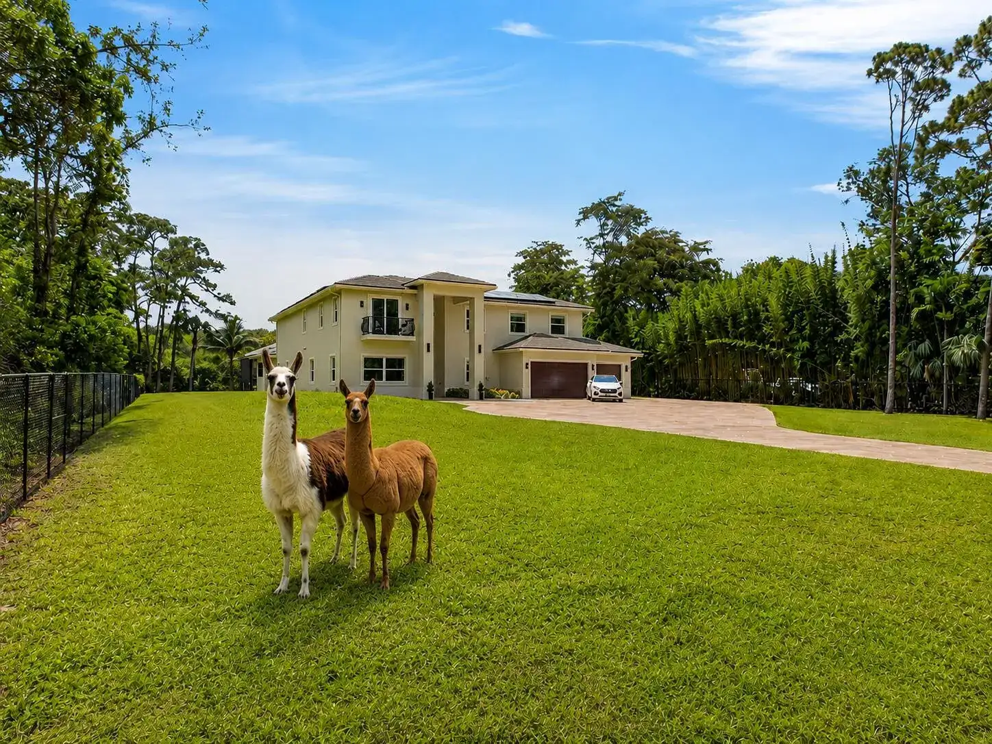 6077 NW 71st Terrace, Parkland FL 33067 photo 5