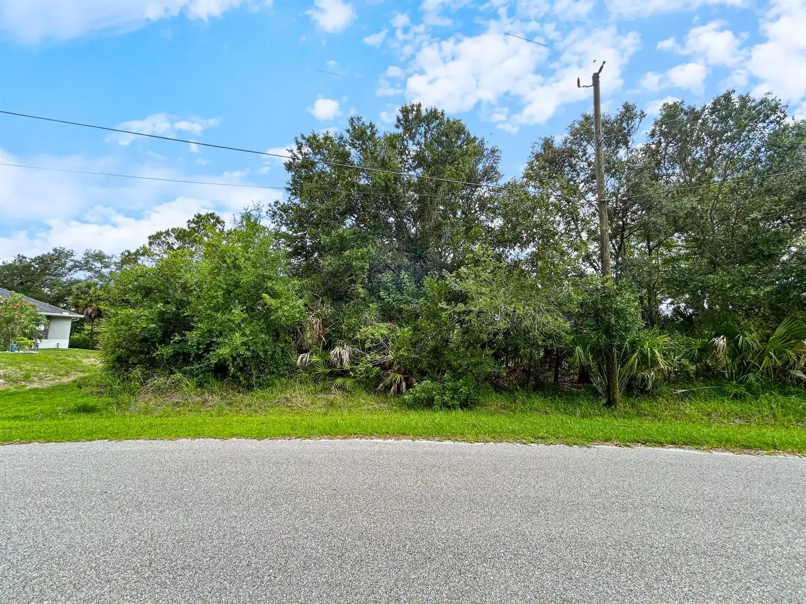 Ancient Ancient, North Port FL 34286 photo 5