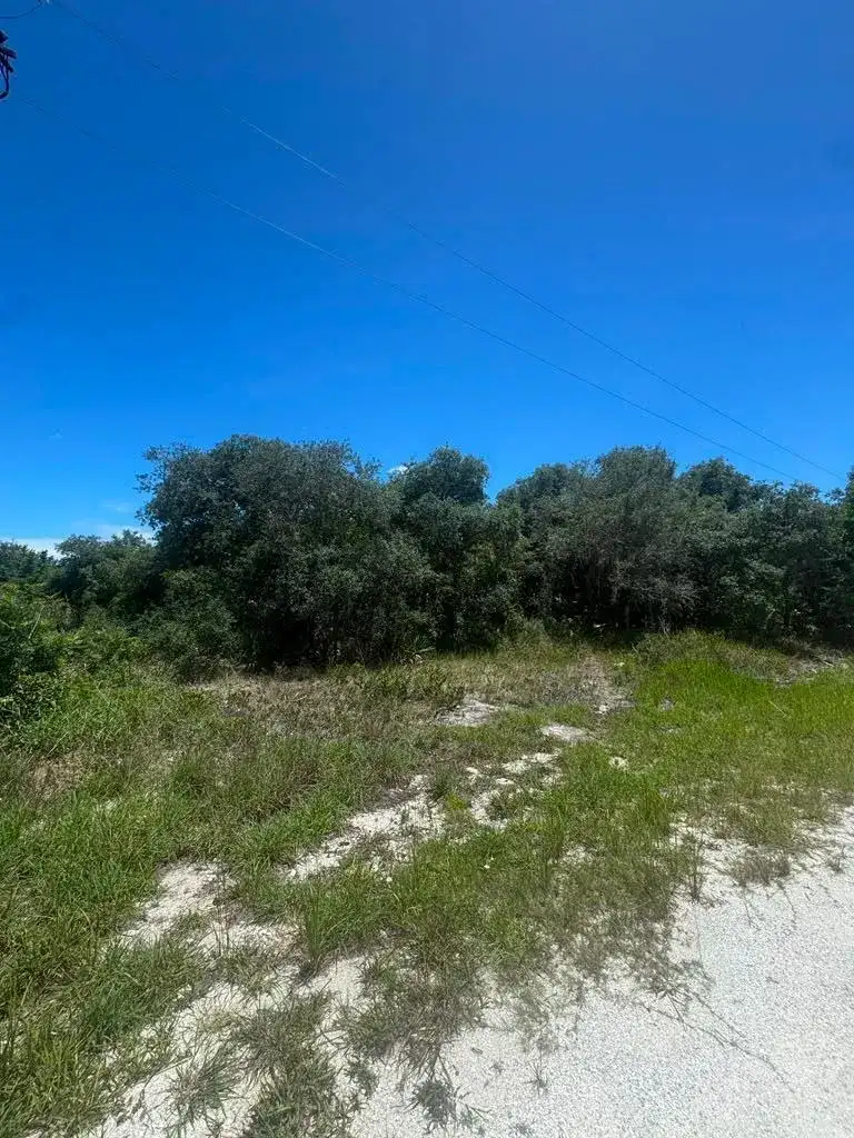 2530 N Todd Road, FL 33825 photo 3