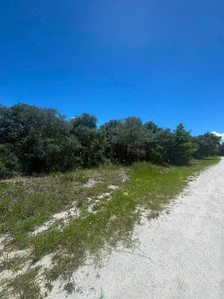 2530 N Todd Road, FL 33825 photo 4