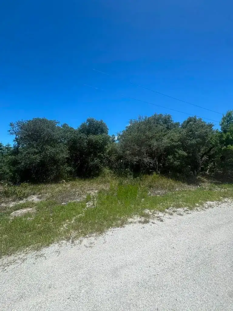2530 N Todd Road, FL 33825 photo 5