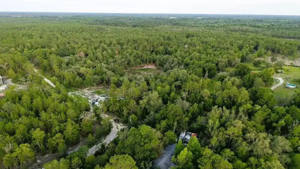 121 Susan Road, FL 32640 photo 5