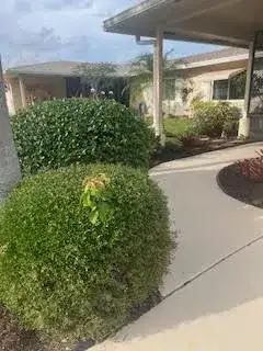 13368 Via Vesta # B, Delray Beach FL 33484 photo 3