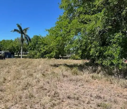 113 Autumn Terrace, Lake Placid FL 33852 photo 3