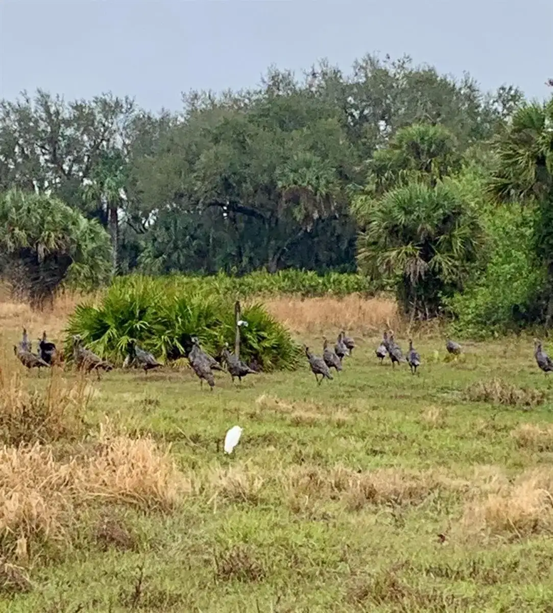 0 Co Rd 832, Clewiston FL 33440 photo 3