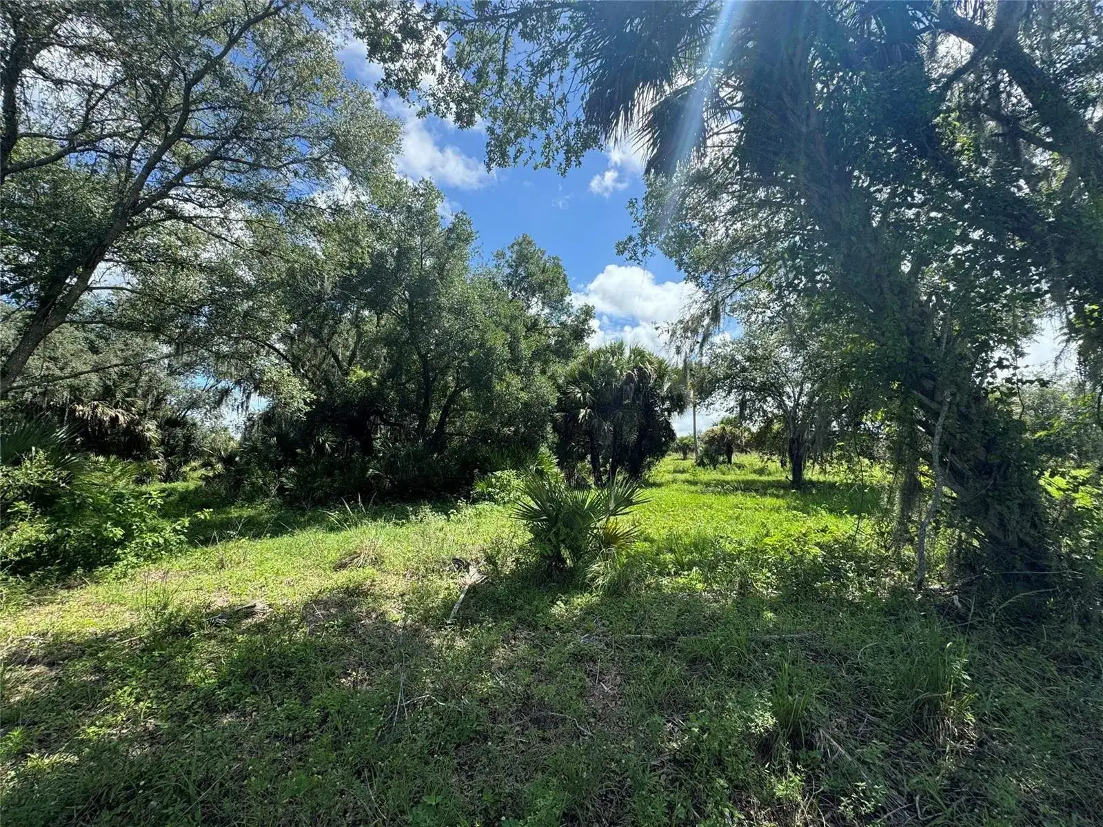 0 Co Rd 832, Clewiston FL 33440 photo 4