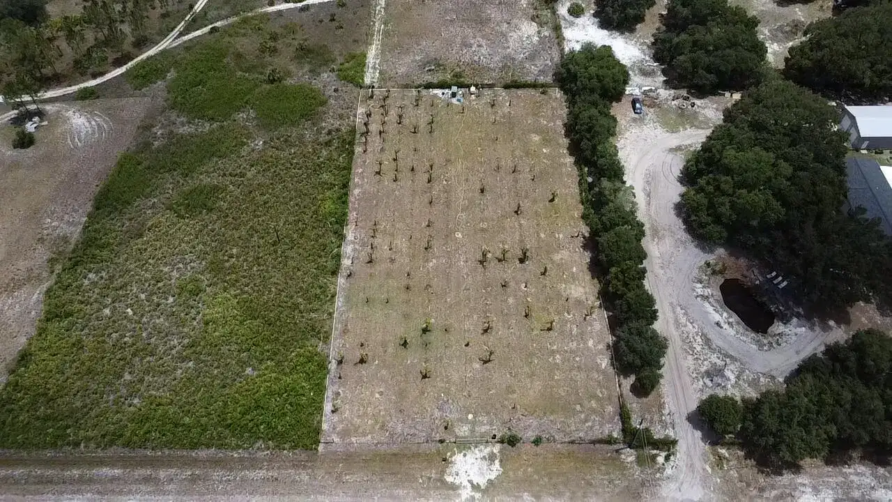 18282 NW 306th Street, Okeechobee FL 34972 photo 2