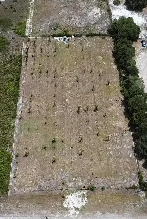 18282 NW 306th Street, Okeechobee FL 34972 photo 3