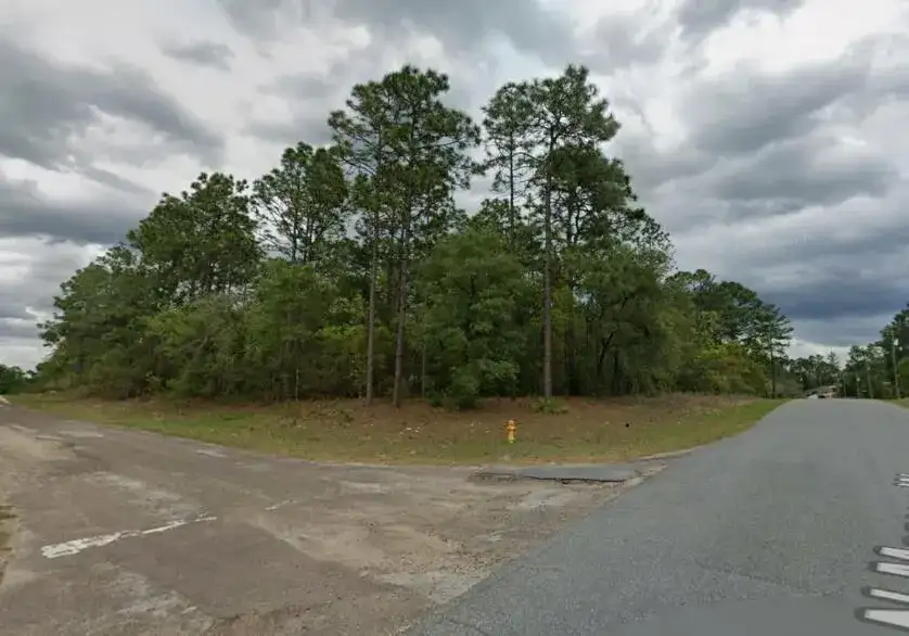 9239 N Marcus Way, FL 34433 photo 4