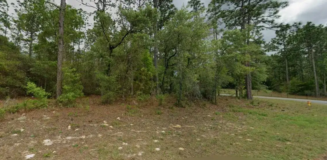 9239 N Marcus Way, FL 34433 photo 5