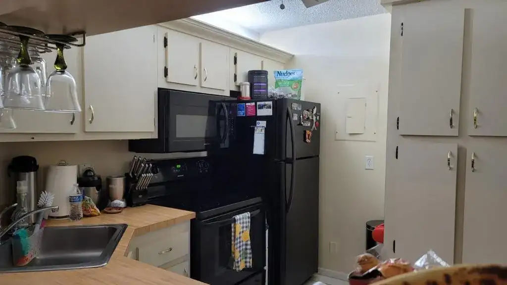 203 Foxtail Drive # B3, FL 33415 photo 2
