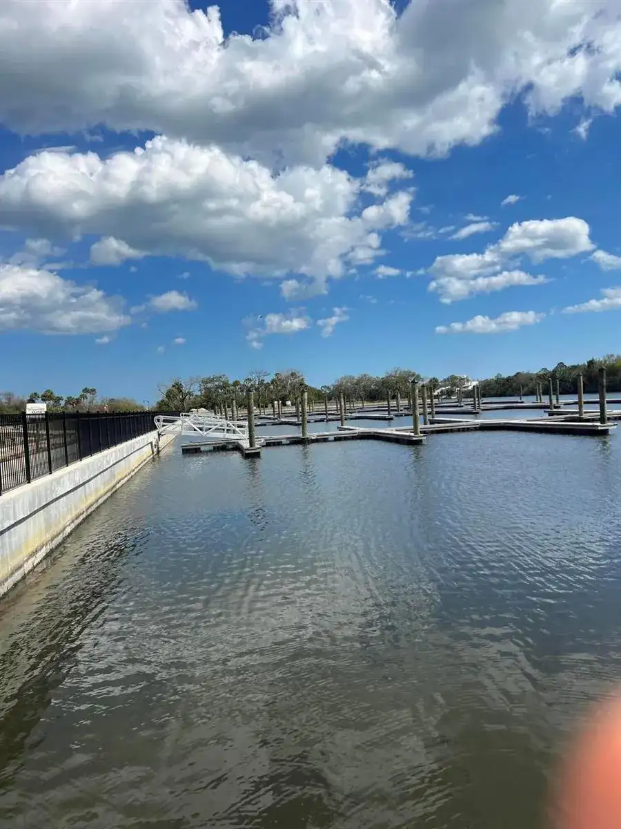 24 Del Palma Drive, Palm Coast FL 32137 photo 2