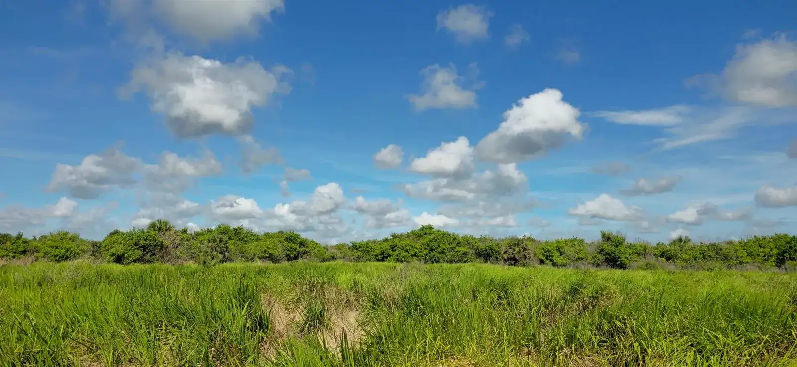 Tbd 13th Street SW, Vero Beach FL 32968 photo 5