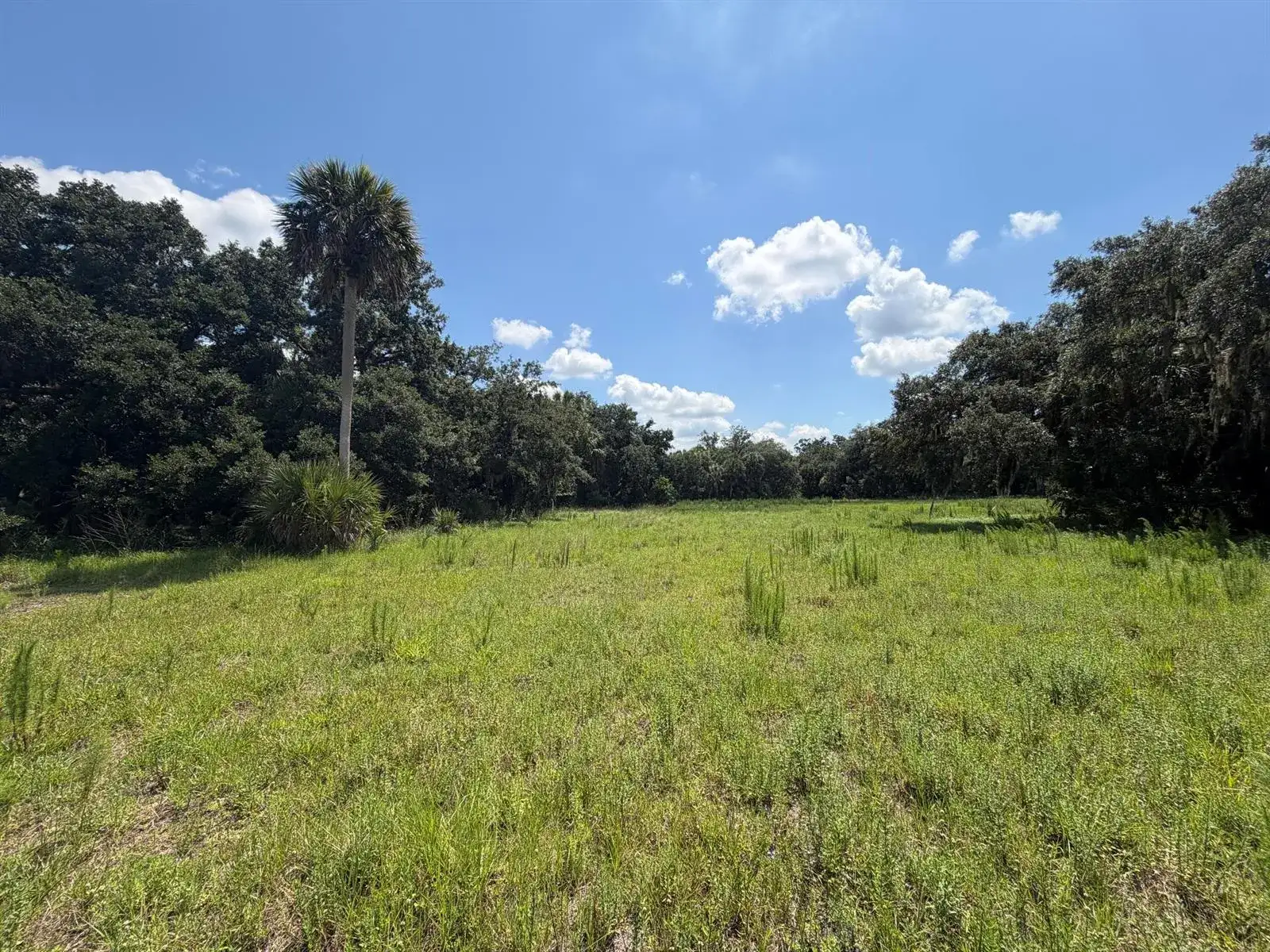 16477 NW 192nd Street, Okeechobee FL 34972 photo 3