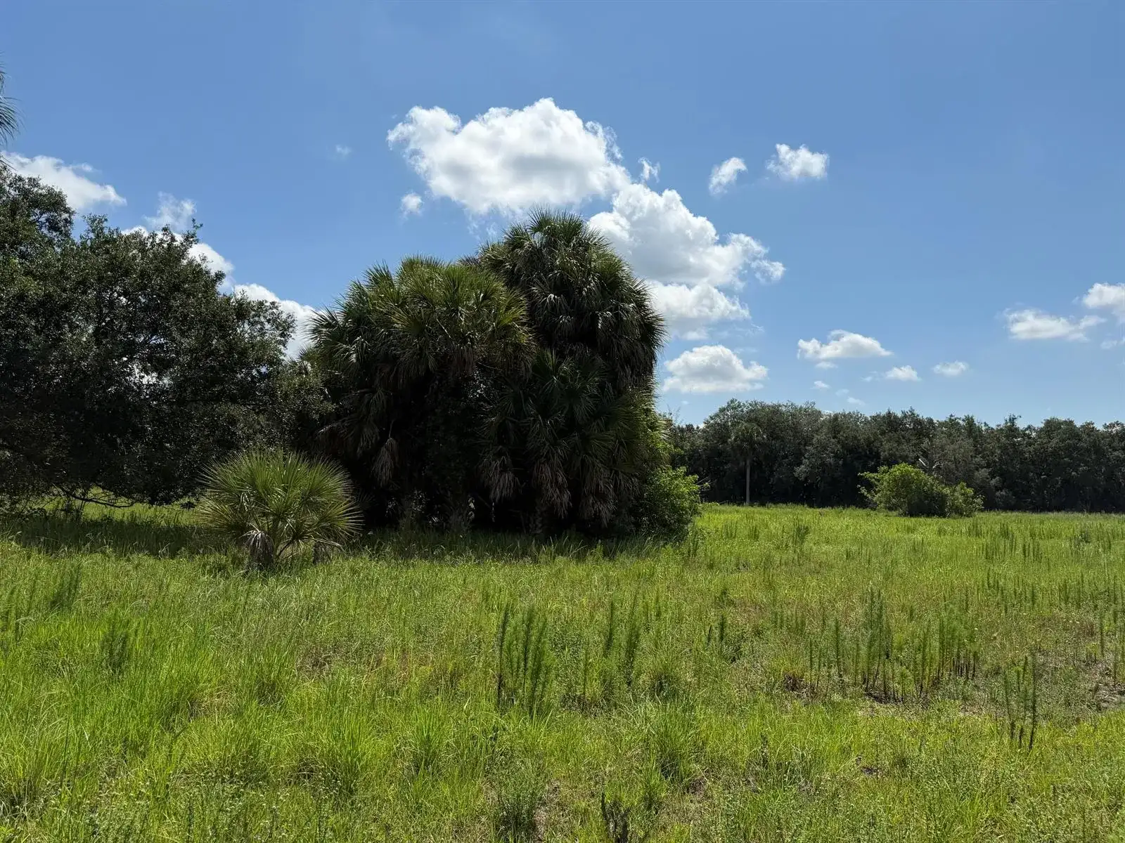 16477 NW 192nd Street, Okeechobee FL 34972 photo 4