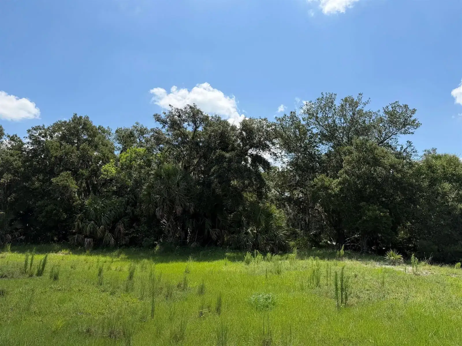 16477 NW 192nd Street, Okeechobee FL 34972 photo 5