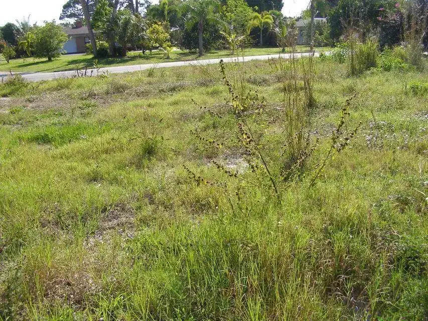 506 NE Oleander Avenue, Port St. Lucie FL 34952 photo 5