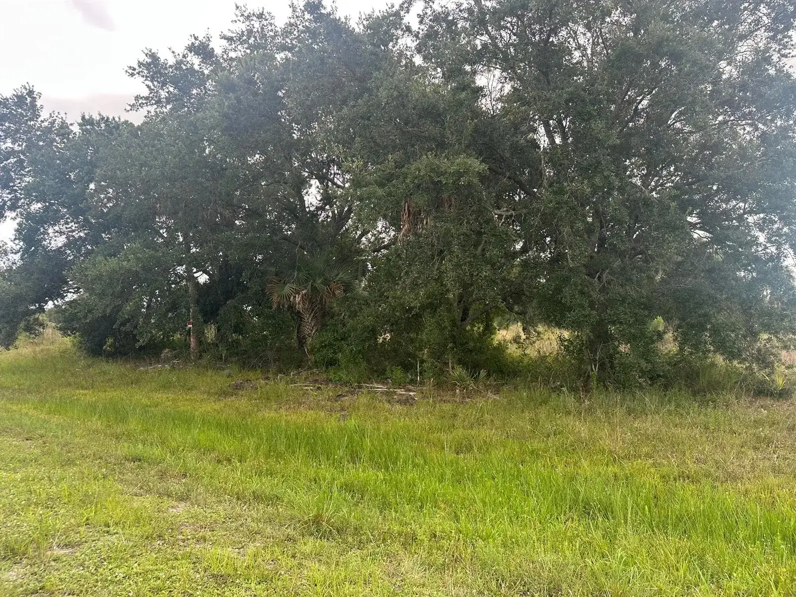 0 NW 313th Street NW, Okeechobee FL 34972 photo 2