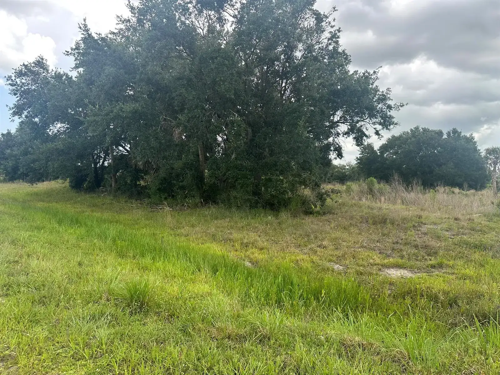 0 NW 313th Street NW, Okeechobee FL 34972 photo 3