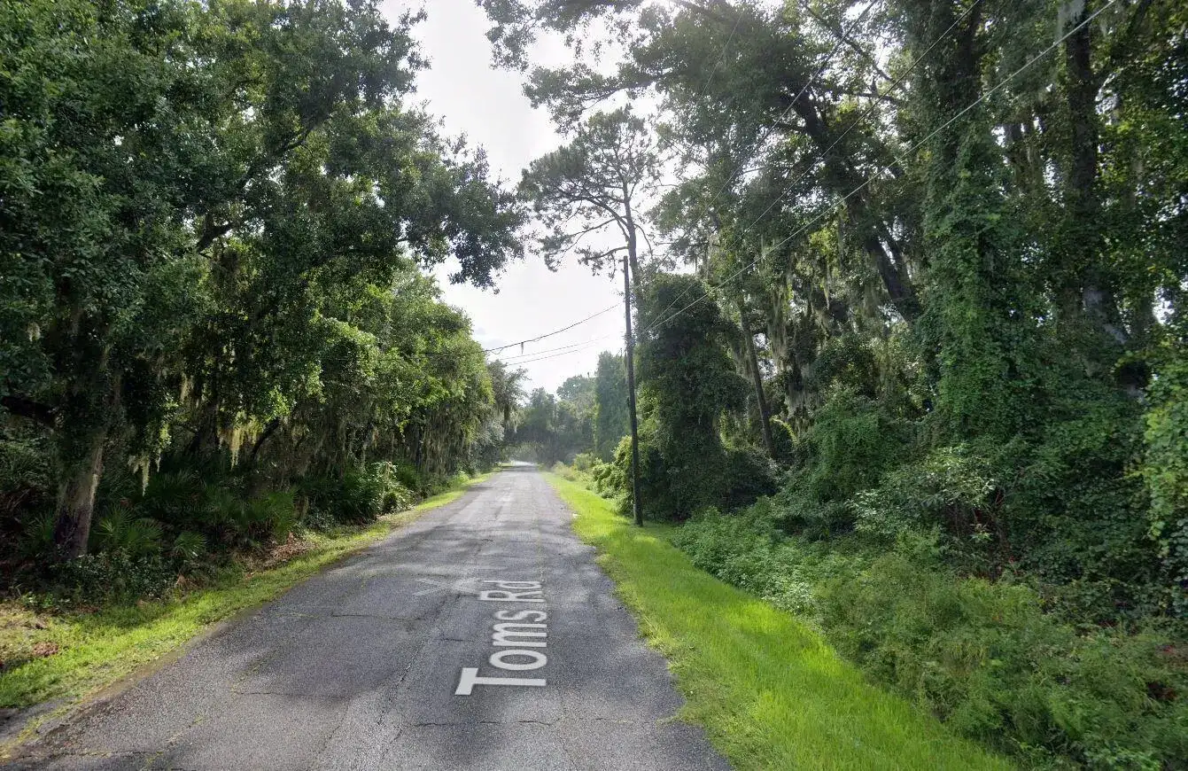 268 Toms Road, FL 32713 photo 3