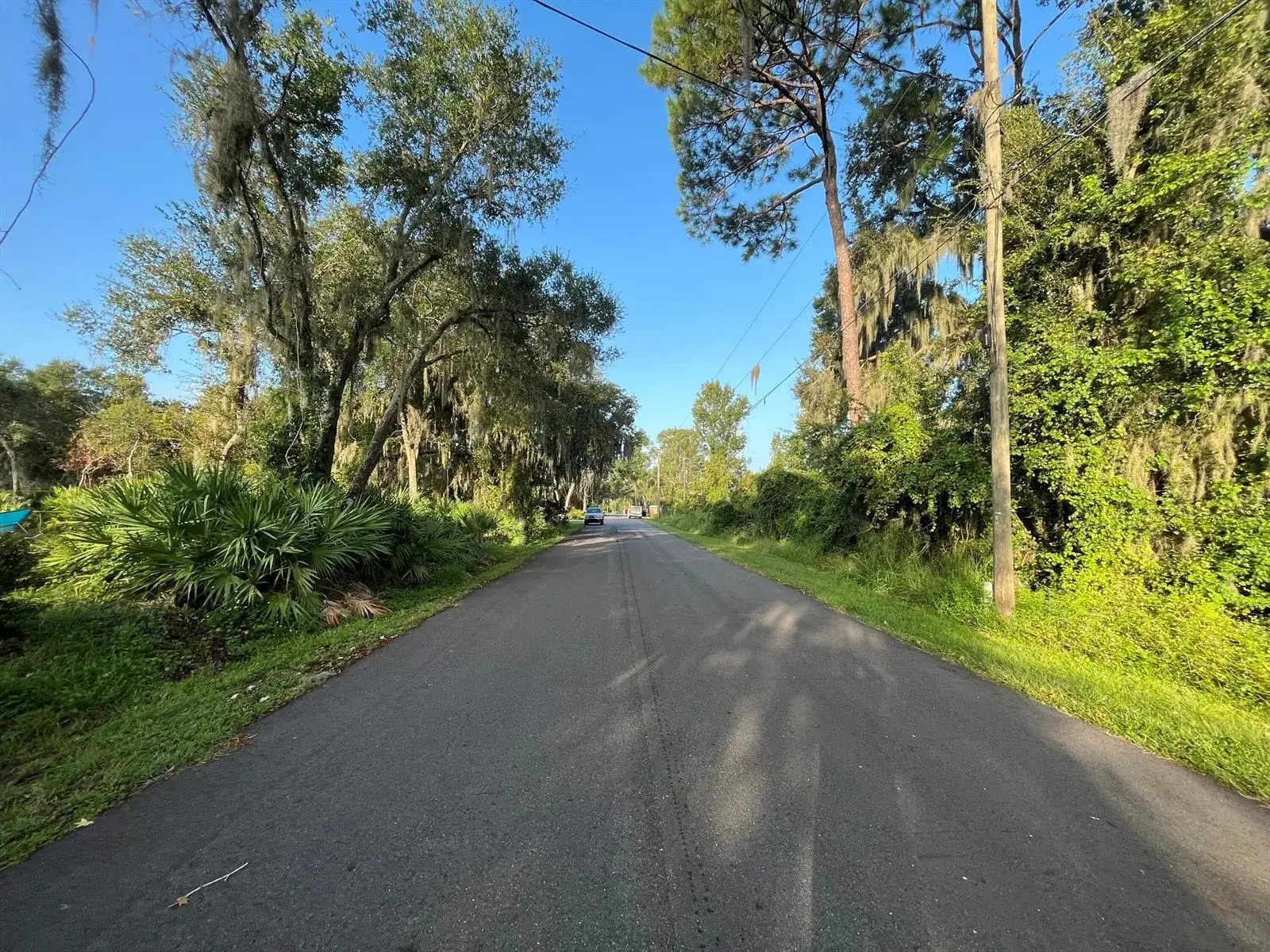 262 Toms Road, FL 32713 photo 4